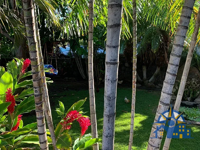 115 Honuhula Pl, Kihei, HI 96753