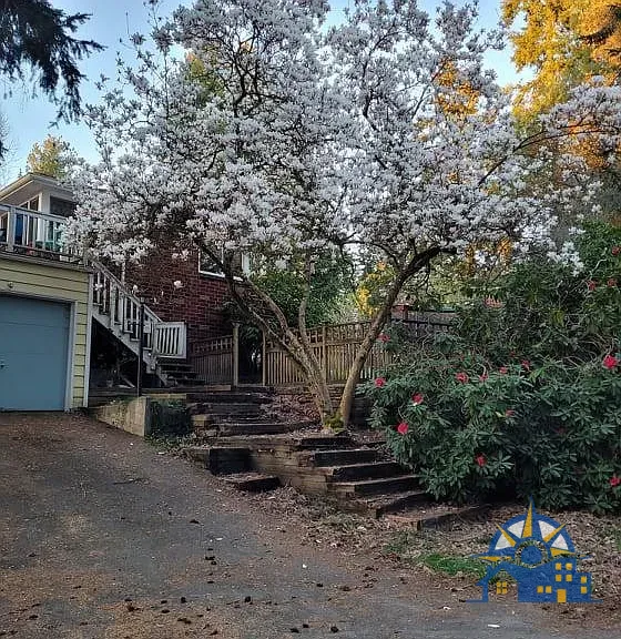 1560 NE 106th St, Seattle, WA 98125